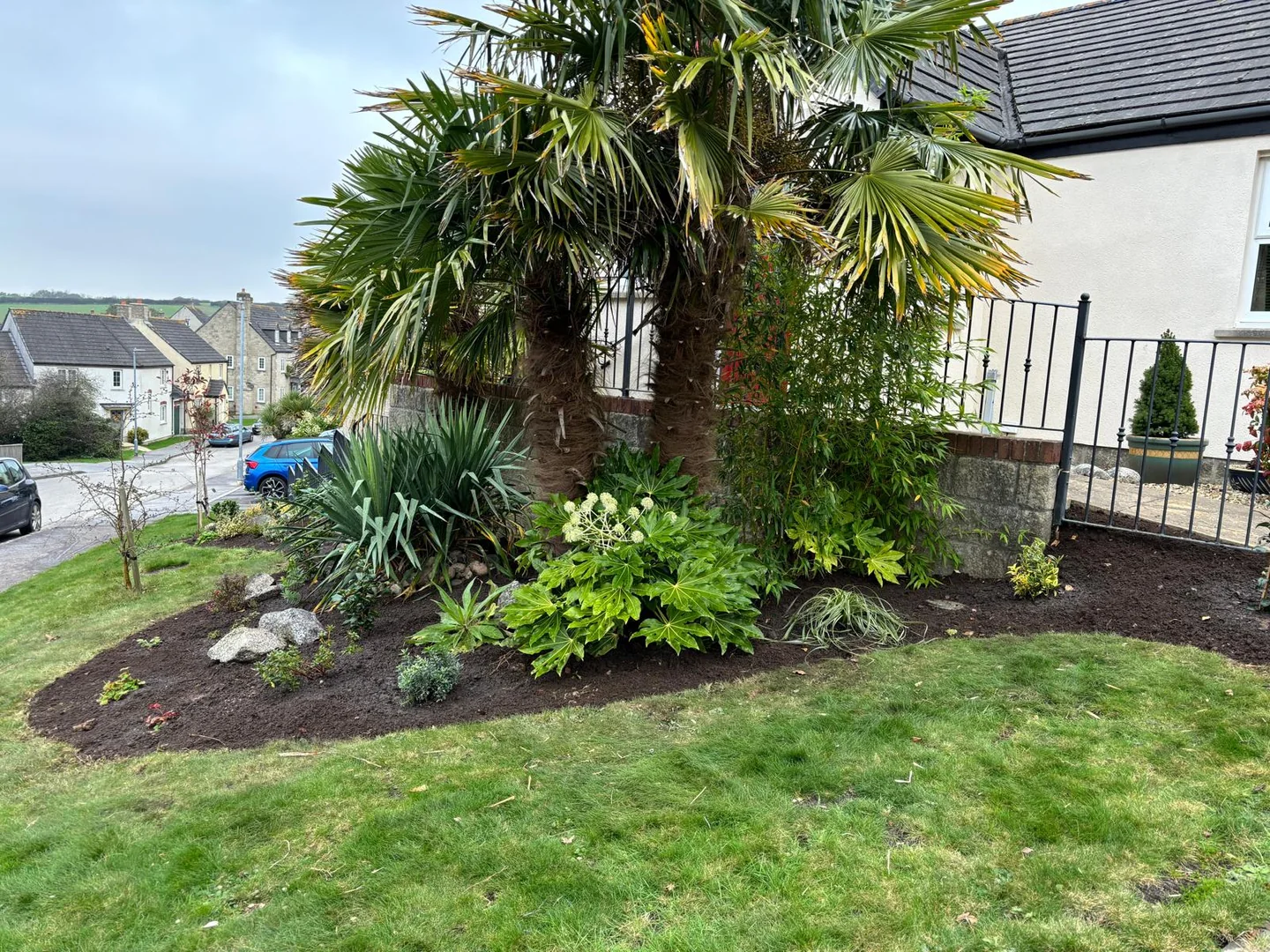 A lush finished garden with palms and layered tropical planting